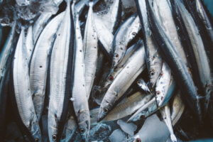 スーパーの鮮魚担当になった時の先輩社員が仕事を教えてくれなかった話