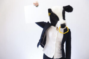 正社員の経験がない！そんな人にオススメの職種とは？