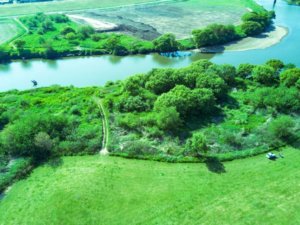 刺激のない田舎生活が嫌になり上京を決意